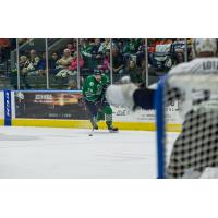 The Florida Everblades eye the Jacksonville Icemen net and Goaltender Austin Lotz