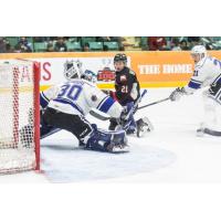 Prince George Cougars Goaltender Griffen Outhouse vs. the Victoria Royals