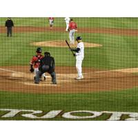 Protective Netting at TD Bank Ballpark