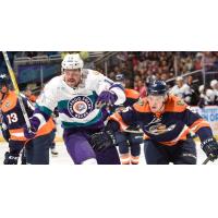 Orando Solar Bears vs. the Greenville Swamp Rabbits