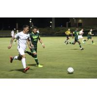 Tampa Bay Rowdies vs. the USF Bulls in preseason action