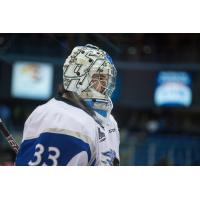 Saint John Sea Dogs Goaltender Alex D'Orio