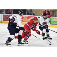 Roanoke Rail Yard Dawgs Right Wing Maxime Guyon controls the puck vs. the Macon Mayhem