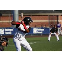 Washington Wild Things Outfielder James Harris at the plate