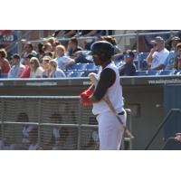 Washington Wild Things Outfielder James Harris