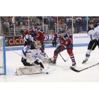 Idaho Steelheads Goaltender Tomas Sholl makes a save vs. the South Carolina Stingrays