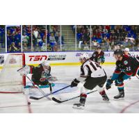 James Malm of the Vancouver Giants presses the Kelowna Rockets defense