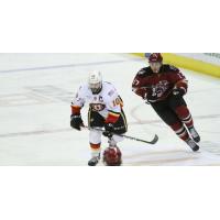 Tucson Roadrunners vs. the Stockton Heat