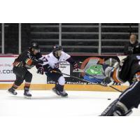 Macon Mayhem take on the Fayetteville Marksmen