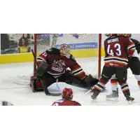 Tucson Roadrunners Goaltender Adin Hill stops a Stockton Heat shot