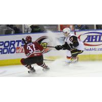 Tucson Roadrunners vs. the Stockton Heat