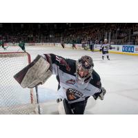 Vancouver Giants Goaltender Trent Miner
