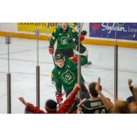 Ottawa 67's celebrate with the fans