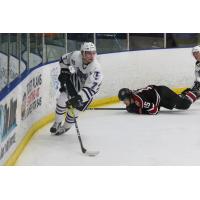 Mike Koster of the Tri-City Storm