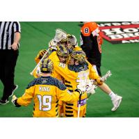 Georgia Swarm celebrate a goal vs. the Buffalo Bandits