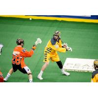 Jesse King of the Georgia Swarm vs. the Buffalo Bandits