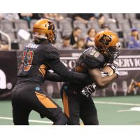 Arizona Rattlers handoff