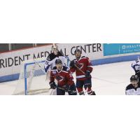 South Carolina Stingrays in action
