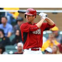 Somerset Patriots signee, Outfielder Danny Dorn