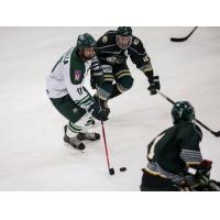 Defenseman Jake Faiella with Ohio University