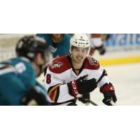 Tucson Roadrunners Forward Conor Garland
