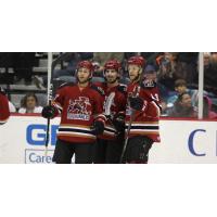 Tucson Roadrunners huddle