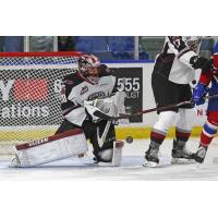 Vancouver Giants Goaltender David Tendeck
