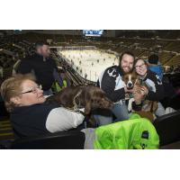 Milwaukee Admirals Purina Dog Day Afternoon