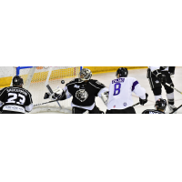 Manchester Monarchs Goaltender Charles Williams locates a Reading Royals shot