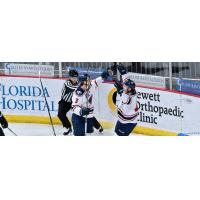 South Carolina Stingrays celebrate a goal