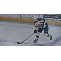 Greenville Swamp Rabbits Defenseman Sergey Zborovskiy