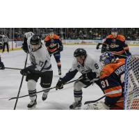 Jacksonville IceMen vs. the Greenville Swamp Rabbits