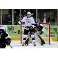 Vancouver Giants Goaltender Trent Miner peeks around the Victoria Royals