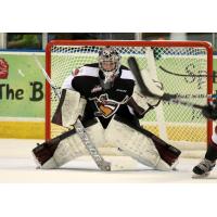 Vancouver Giants Goaltender Trent Miner