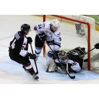 Vancouver Giants Goaltender Trent Miner covers a Victoria Royals's shot