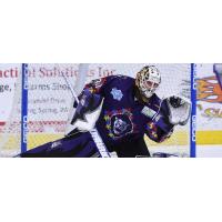 Reading Royals Goaltender Mark Dekanich