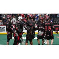 Vancouver Stealth huddle up
