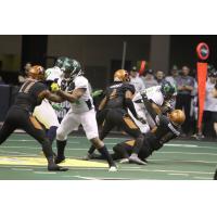 Arizona Rattlers' Davontae Merriweather and co. take down a Nebraska Danger ballcarrier