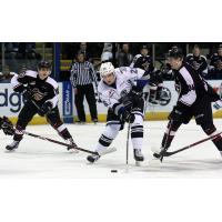 Vancouver Giants surround the Victoria Royals