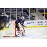 Evansville Thunderbolts Goaltender Ryan de Melo