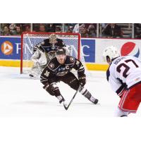 Hershey Bears Right Wing Garrett Mitchell faces the Rochester Americans
