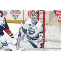 Utica Comets Goaltender Richard Bachman