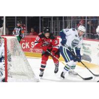 Utica Comets Defenseman Guillaume Brisebois battles the Binghamton Devils for the puck