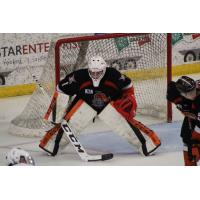 Omaha Lancers Goaltender Christian Sbaraglia