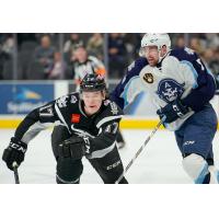 Samuel Blais of the San Antonio Rampage against the Milwaukee Admirals