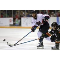 Macon Mayhem in action