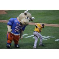 ZOOperstars and the York Revolution