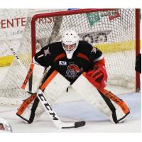 Omaha Lancers Goaltender Christian Sbaraglia