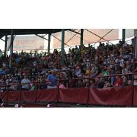 Wisconsin Rapids Rafters fans
