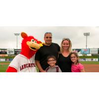 Lancaster Barnstormers mascot Cylo and fans